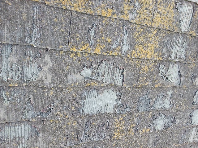 屋根塗装は不可